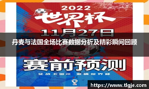 丹麦与法国全场比赛数据分析及精彩瞬间回顾